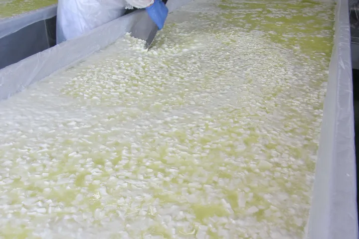 Сирене в корито в мандрата